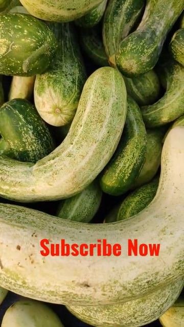 Sabji Bazaar Garden Fresh Veggies at local Market #Shorts #Veggies #Cucumber #viral #Trending