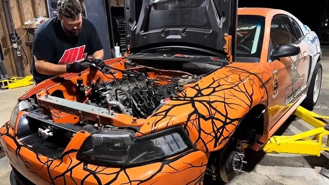 Coyote Swapping a Mustang during Hurricane Debby