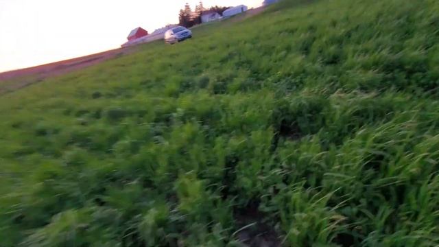 Corn is up! What should I do with my channel?