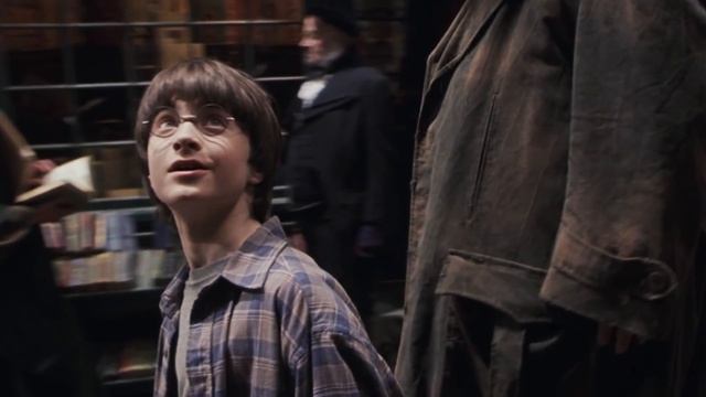 ¿Y Si Sirius Hubiera Criado a Harry Potter? – Fan-Fic de Harry Potter