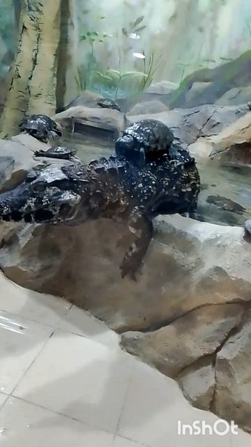 двойное падение