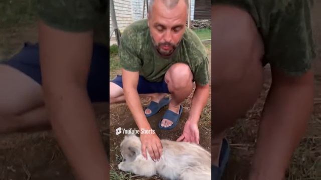Подкожно и внутримышечно