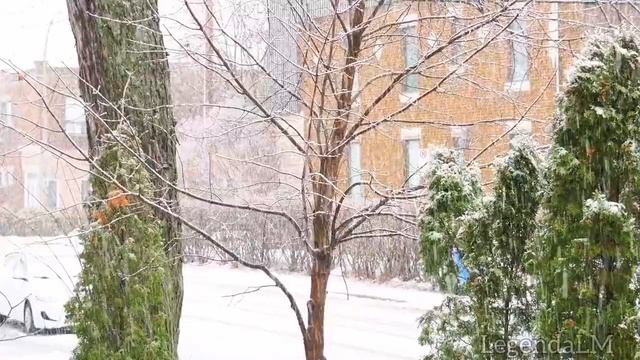 Февральский снег