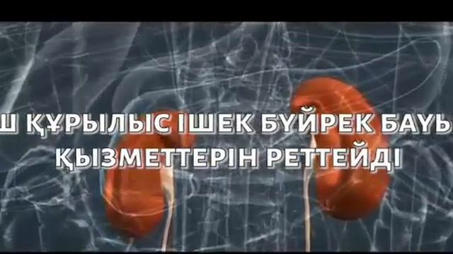Vitality Lux на казахском (к.т. 87778323112, 87076667002)