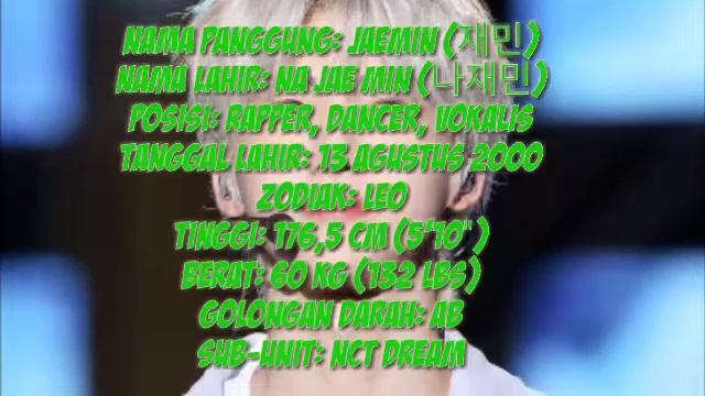 BIODATA,PROFILE,FAKTA UNIK, FOTO (LENGKAP) MEMBER NCT DREAM