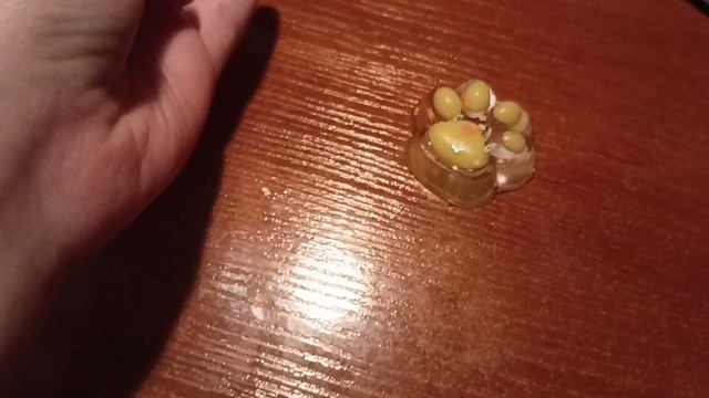 Обзор на новую Таба лапку