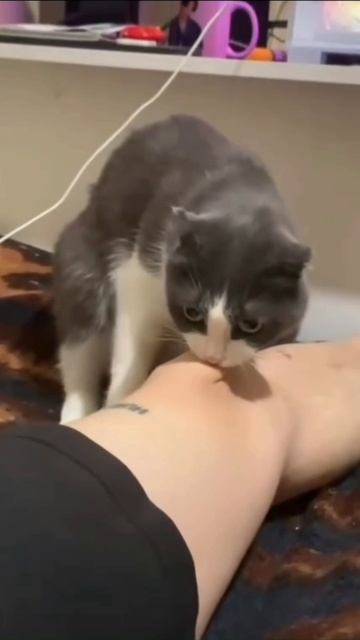 1000073224.mp4