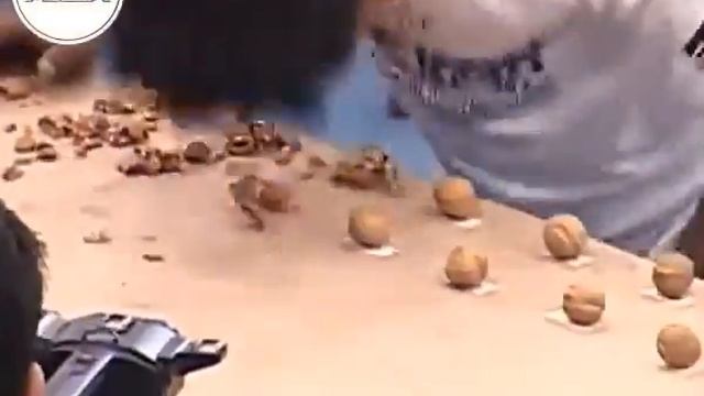 Орехокол \ nut cracker machine