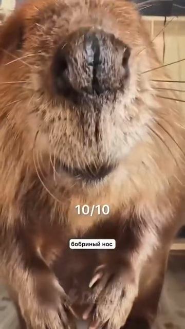 1000036439.mp4