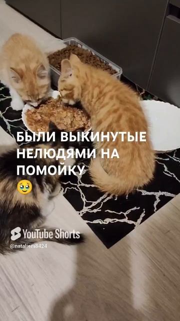 ЧЕЛОВЕК ПОМОГИ 🙏🆘