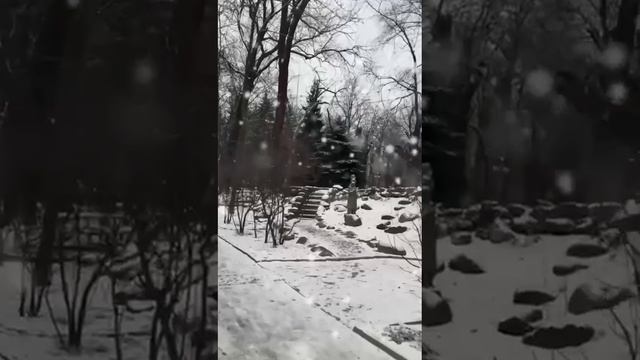 Владикавказ - любимый город