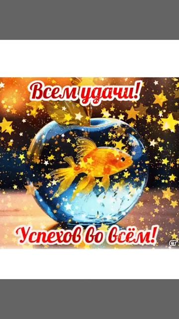 всем удачи