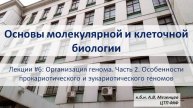 Основы мол. и кл. биологии (2024) Л6 Организация генома Ч2 Особенности про- и эукарического геномов