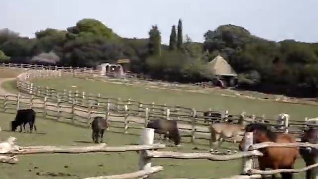 Бриюни Хорватии. Видео от Герасимовой Юлии