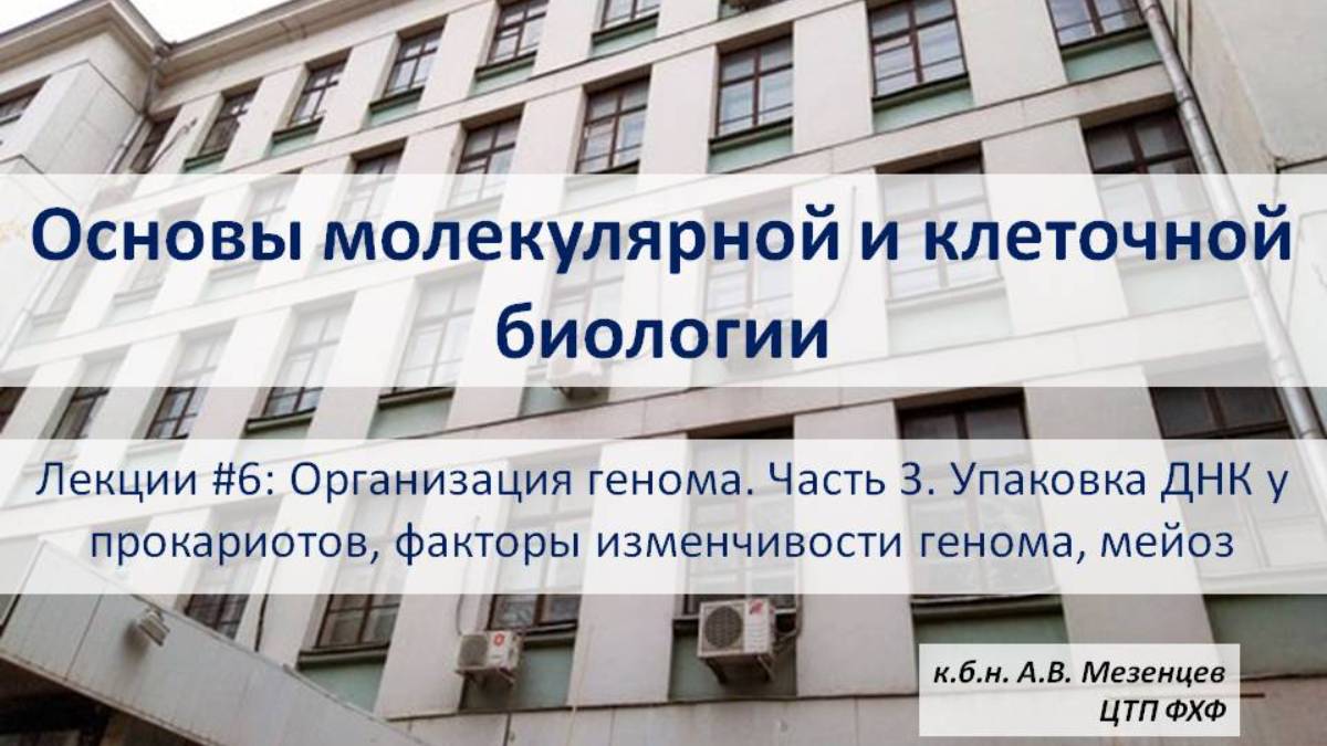 Осн мол и кл биол(2024) Л6 Орг-ация генома Ч3 Упаковка ДНК прокариотов, факторы изменчивости, мейоз