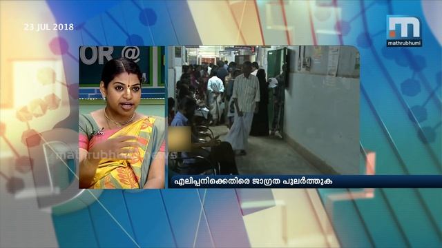 Leptospirosis: Symptoms, Prevention And Treatment| Doctor@2PM| Mathrubhumi News
