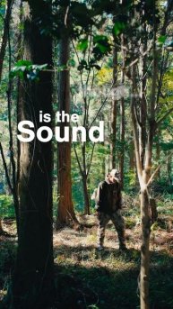 The Camera Flash Transition 📸✨