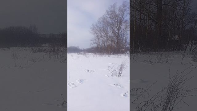 деревня зовет
