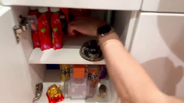 Miss Katy. Катя и папа поселились в комнате у Макса