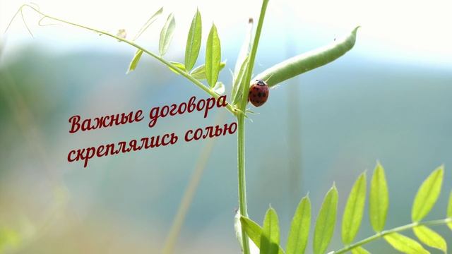 Народные приметы о соли. 1 часть