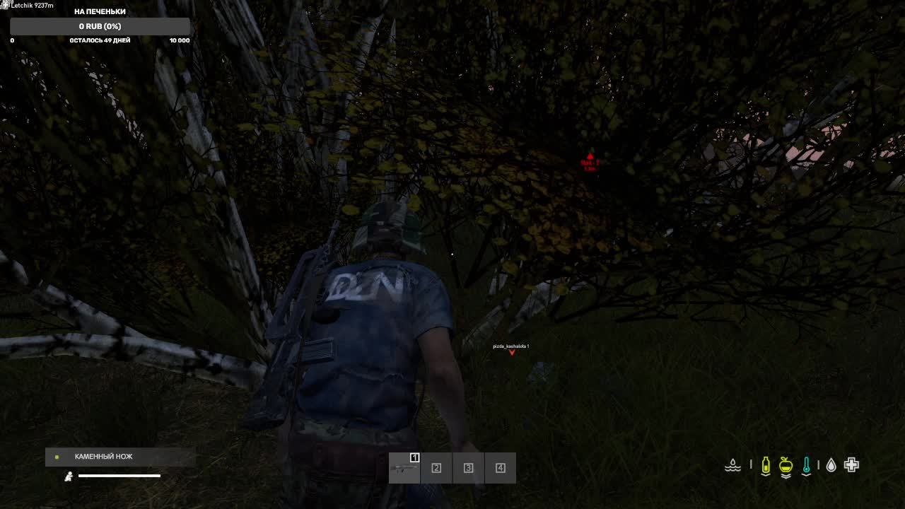 Выживание в Dayz