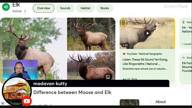 📚 Mastering Irregular Nouns in English: Essential Tips for B1 English Learners! 📖