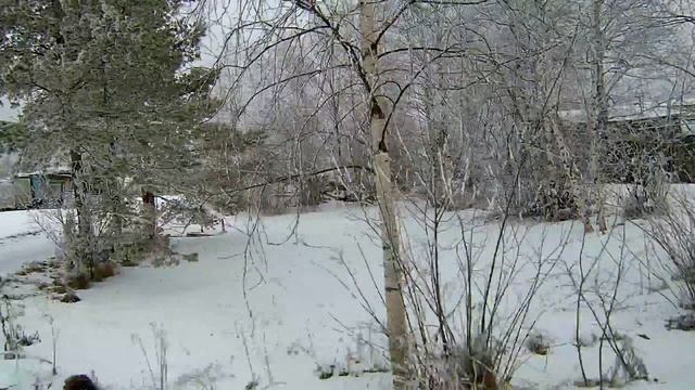 Еду по дачной дороге - болтаю
