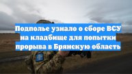 Подполье узнало о сборе ВСУ на кладбище для попытки прорыва в Брянскую область