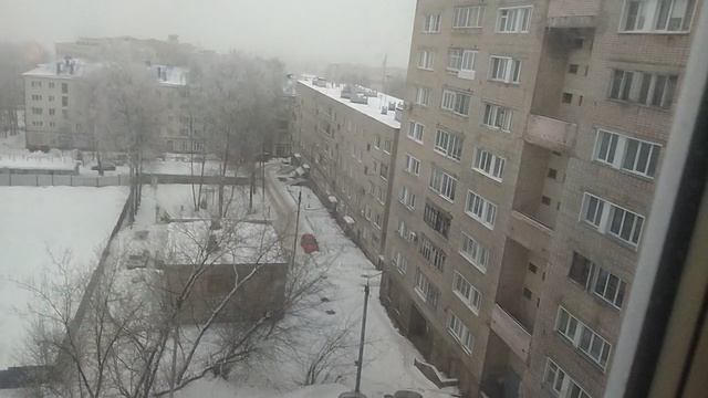 Чудеса за окном да и только My favorite yard
