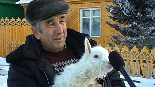 Коза - дереза.