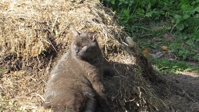 Спа процедуры