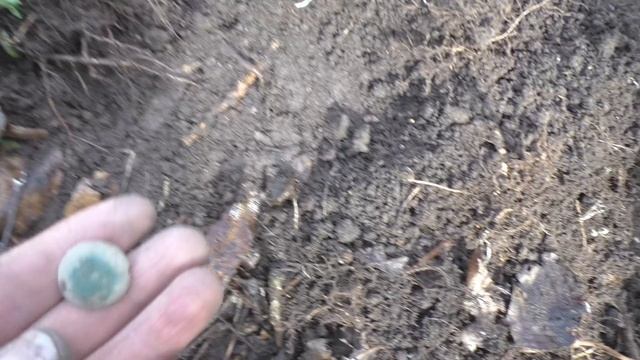 Поиск на лесных полянах и серебряные мега находки камрада