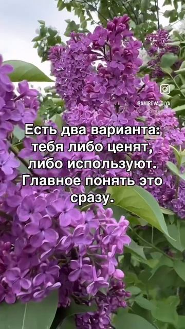 Мудрые мысли
