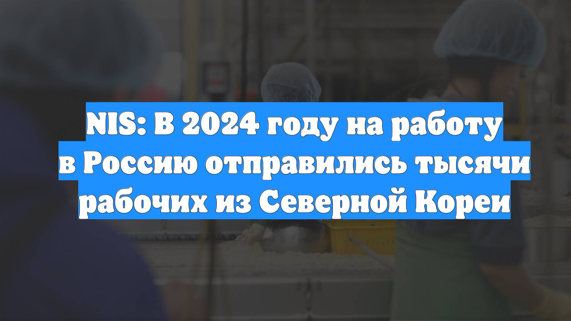 NIS: В 2024 году на работу в Россию отправились тысячи рабочих из Северной Кореи