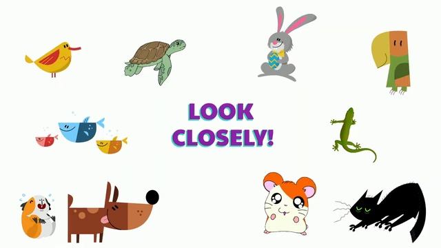 What's Missing? Pets. Game. Quiz