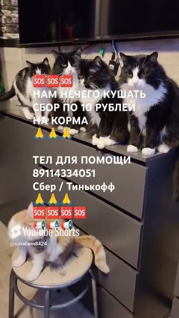 ЧЕЛОВЕК ПОМОГИ 🙏🆘