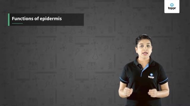 Plant Tissues-Epidermis and Guard Cells | Biology