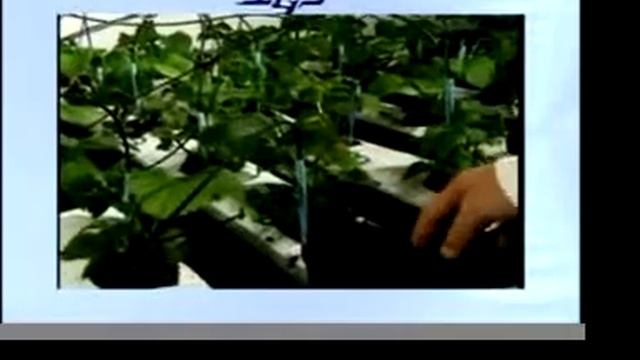 IGS: CANNA COCO Tutorial: Part 1