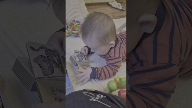 Ребенок читает в 6 месяцев))) полагаю в годик уже школу закончит)