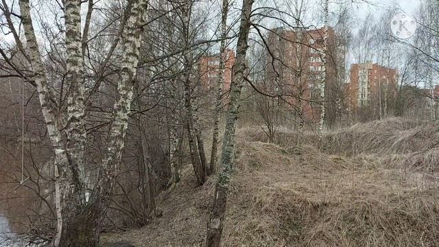 NASHEED MОХИ РАМАЗОН ОМАД КОРИ AMIRHAMZA ТАСБЕХ РАМАЗОН