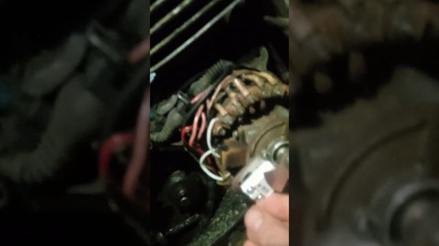 VID_20250201_172642.mp4