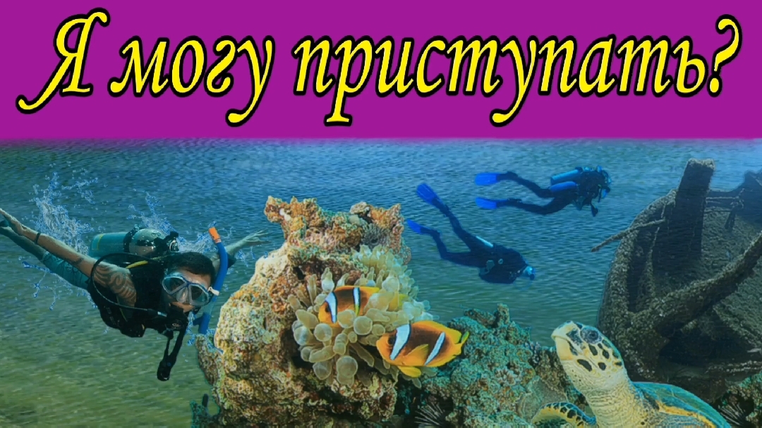 Я могу приступать ?