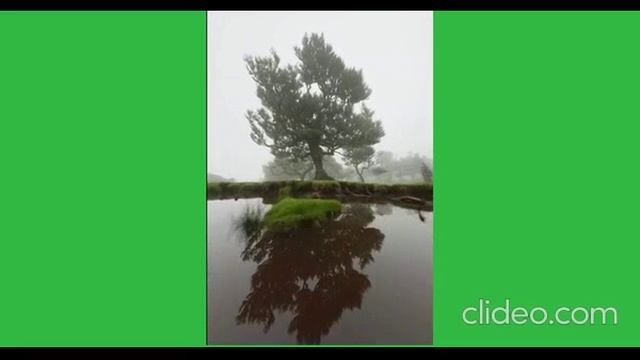при РОД(е)- а на ПЛАНЕ " Земля"