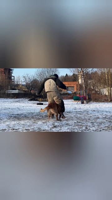 малинуа Кайман 1,5 месяца и 5 лет.