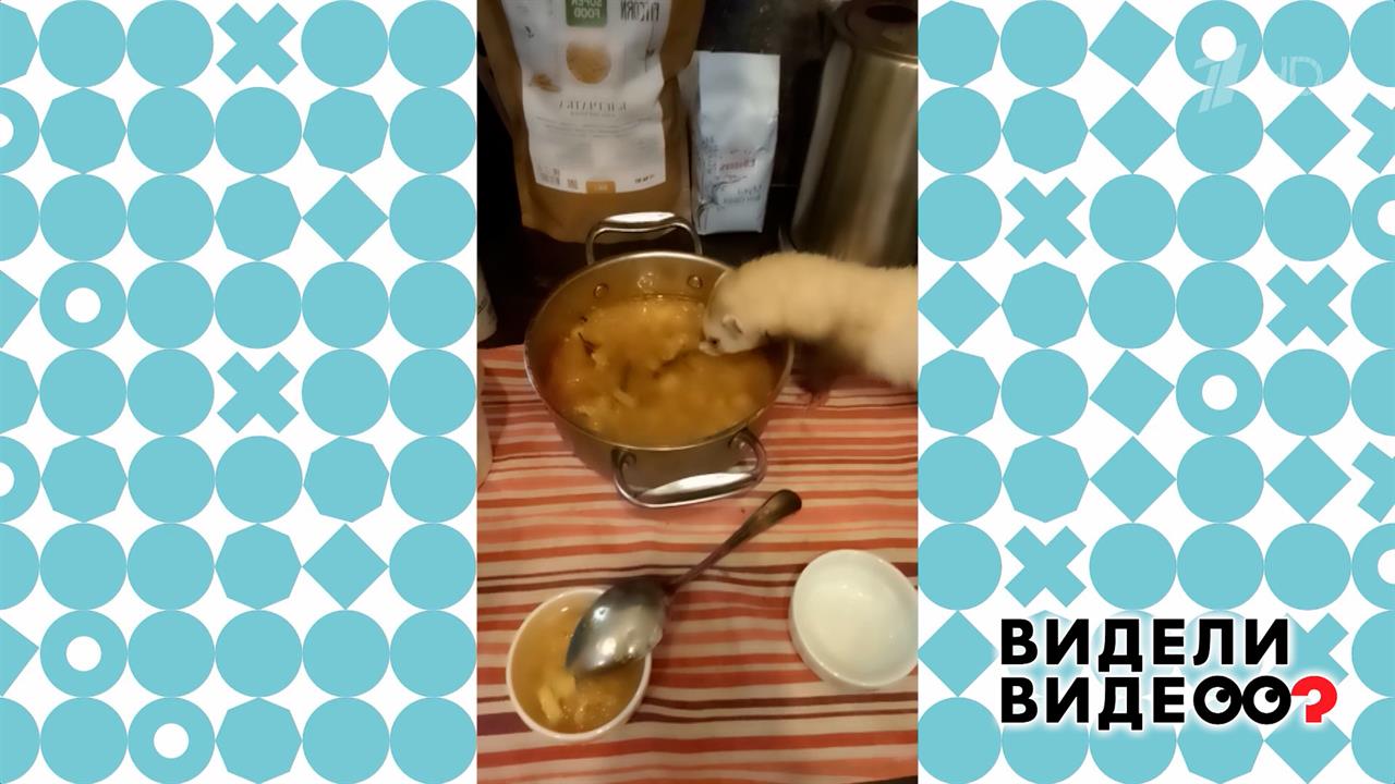 Атака на хозяйский суп. Видели видео? Фрагмент выпуска от 09.02.2025