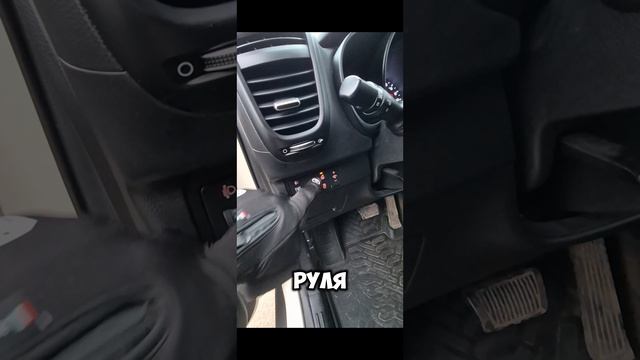 1000078591.mp4