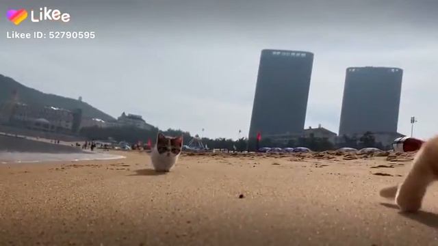 💟машуля💟