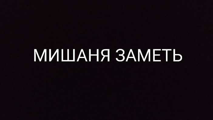 Мишаня Литвин заметь пж