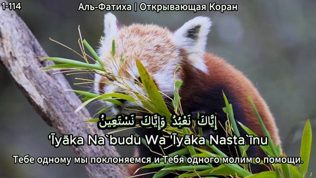 Аль-Фатиха  Открывающая Коран