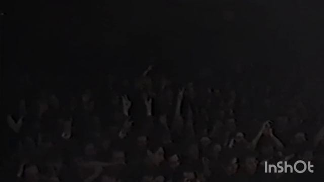 Всё песни ГРОБ, в которых есть упоминание котов